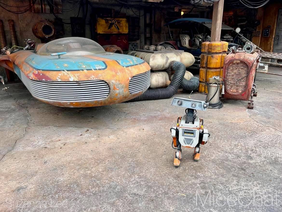 Disneyland, DISNEYLAND UPDATE: Hot Days, Cool Crowds & Summer Shakeups