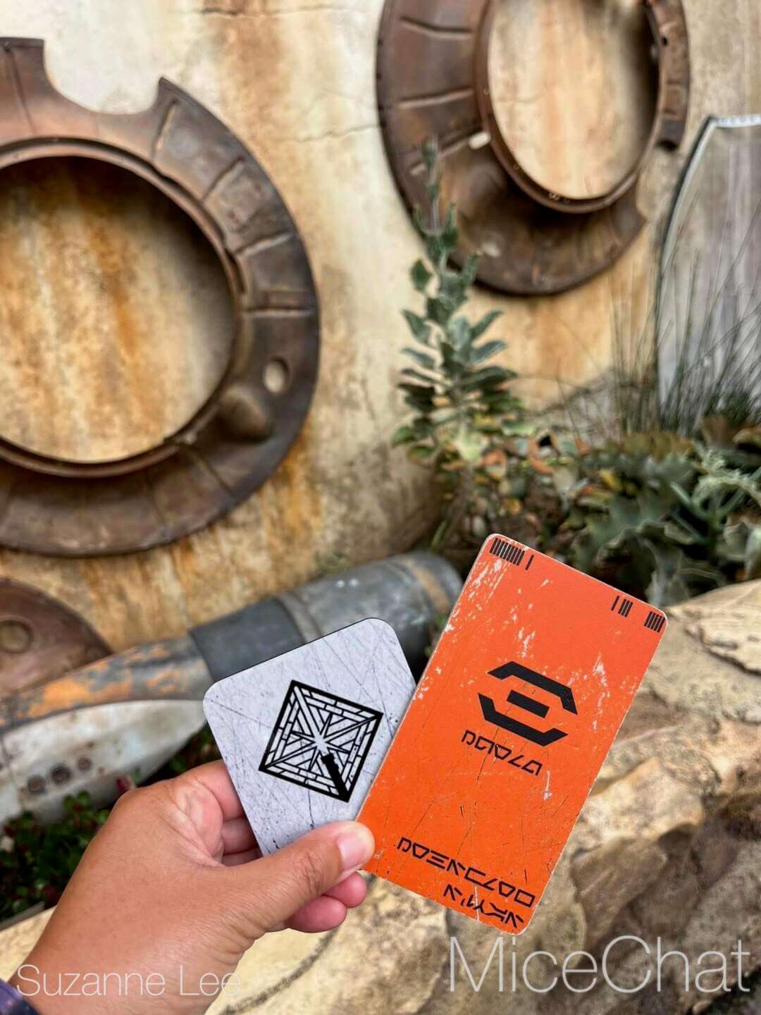 Disneyland, DISNEYLAND UPDATE: Hot Days, Cool Crowds & Summer Shakeups