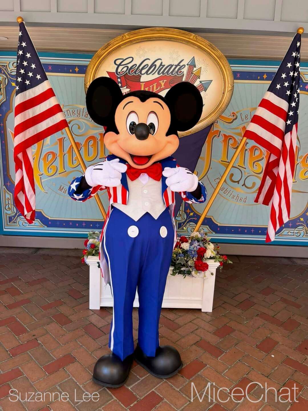 , DISNEYLAND UPDATE: A Pirate’s Glitch for Me, The Billionth Guest, &  Cheap Sell-Out
