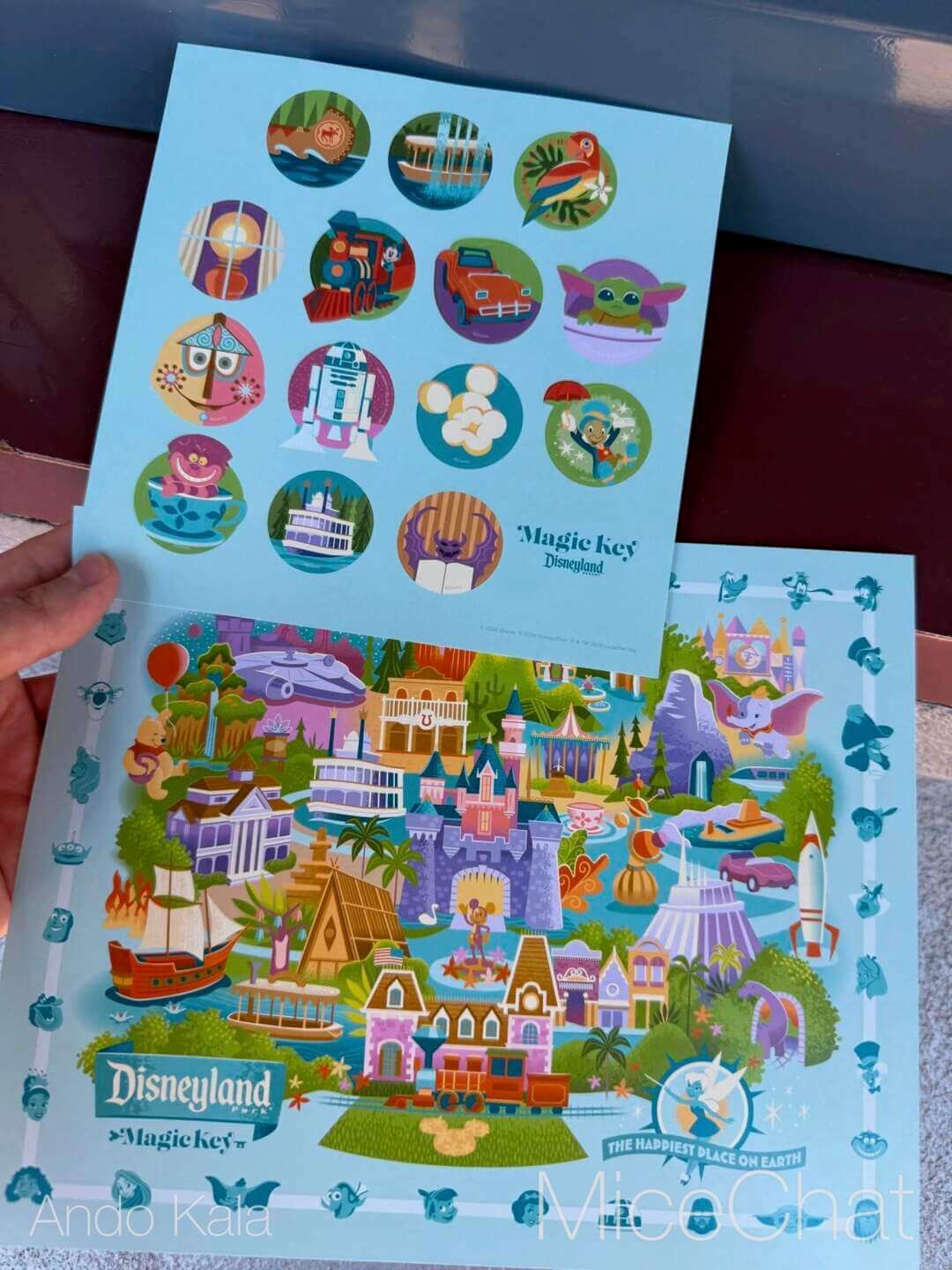 , DISNEYLAND UPDATE: A Pirate’s Glitch for Me, The Billionth Guest, &  Cheap Sell-Out