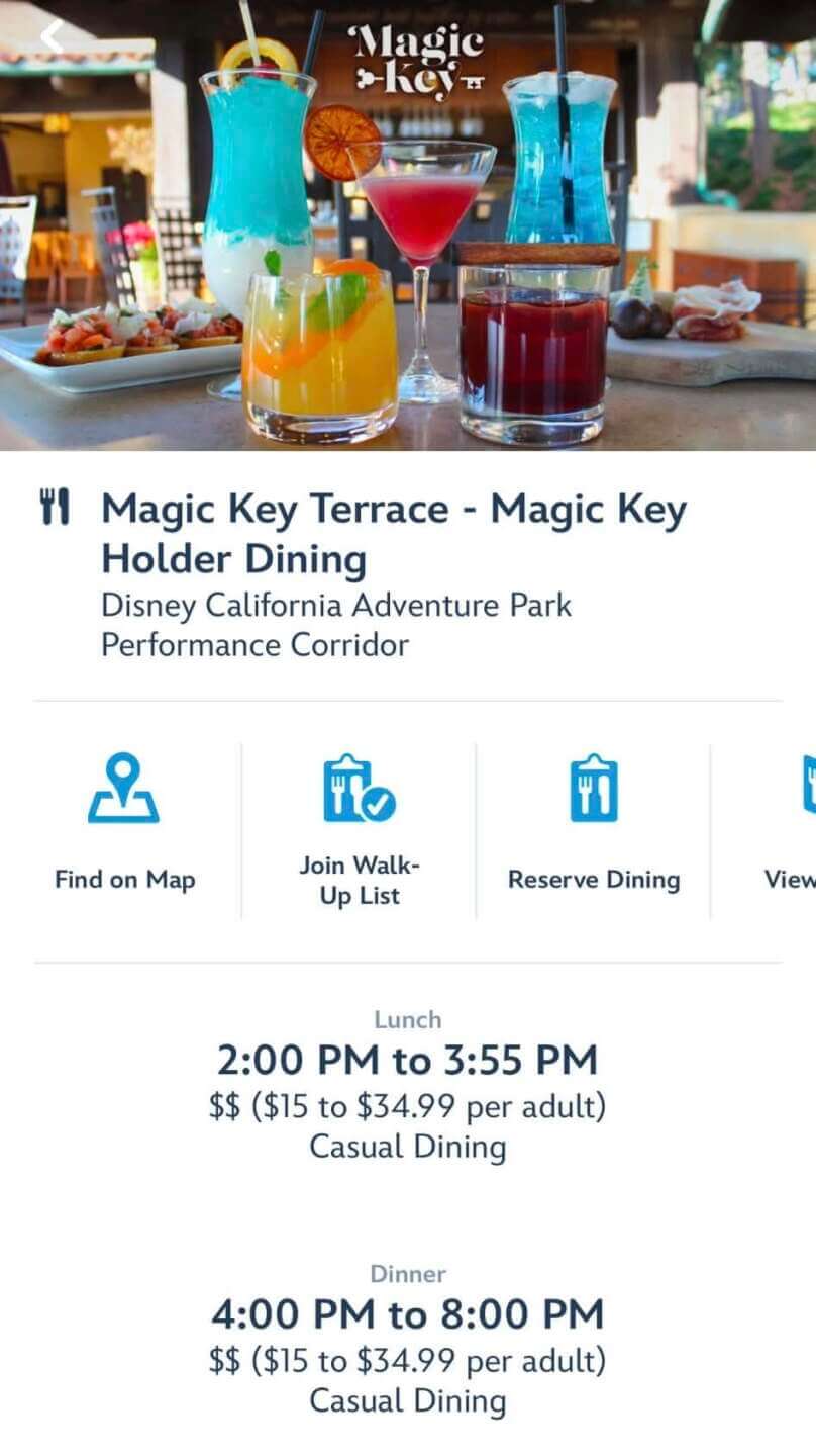 Magic Key Terrace posted lunch and dinner hours