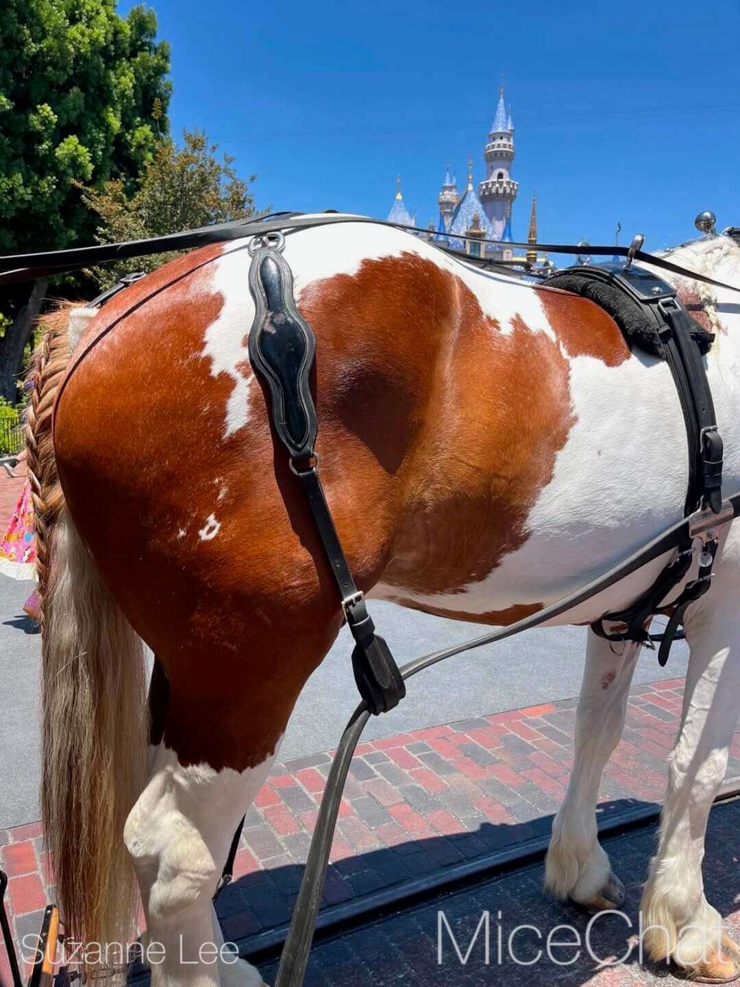 Disneyland, DISNEYLAND UPDATE: Hot Days, Cool Crowds & Summer Shakeups