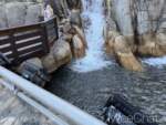 Disneyland-Oogie-Boogie-Bash-Lighting