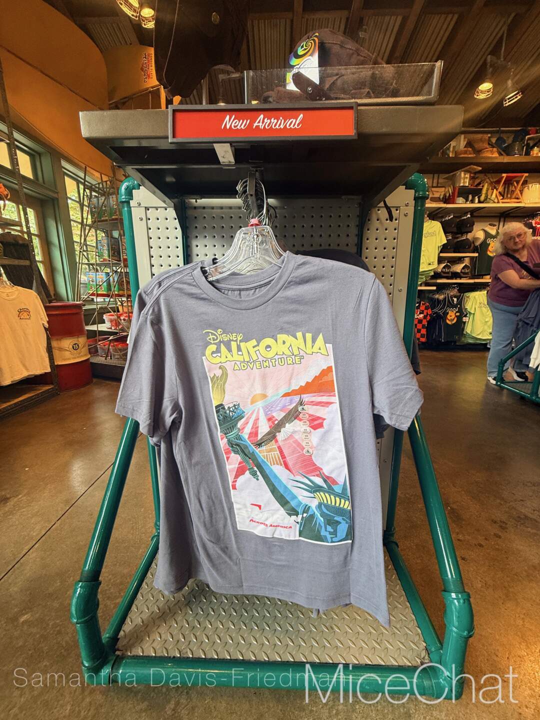 , DISNEYLAND UPDATE: A Pirate’s Glitch for Me, The Billionth Guest, &  Cheap Sell-Out