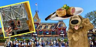 , MiceAge – A Different Look at Disney