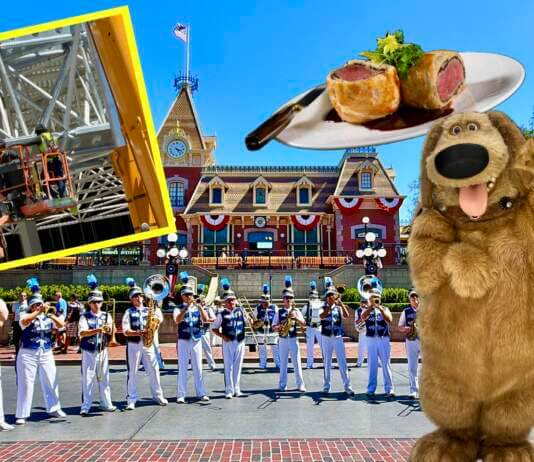 DISNEYLAND UPDATE: Hot Days, Cool Crowds & Summer Shakeups