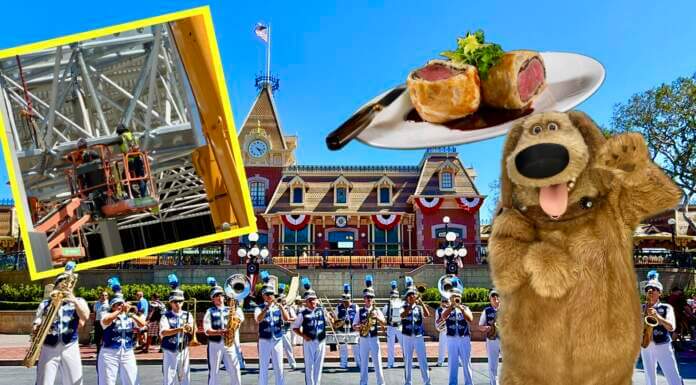 DISNEYLAND UPDATE: Hot Days, Cool Crowds & Summer Shakeups