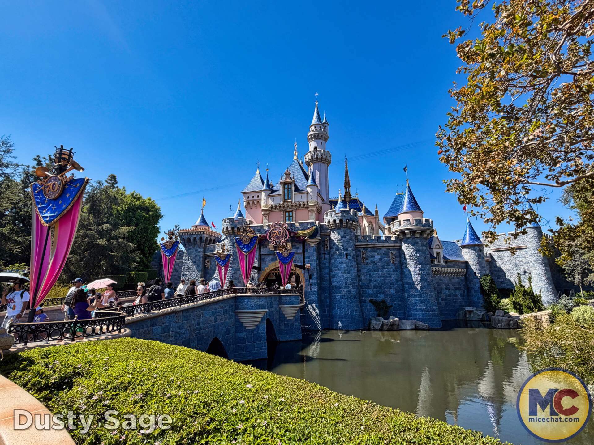 Disneyland, DISNEYLAND UPDATE: Hot Days, Cool Crowds & Summer Shakeups