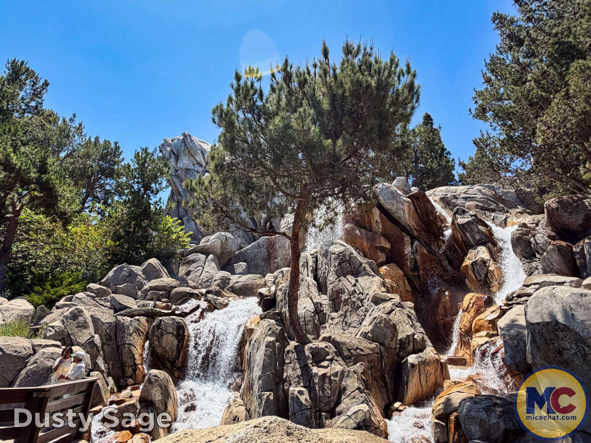 Disneyland, DISNEYLAND UPDATE: Hot Days, Cool Crowds & Summer Shakeups