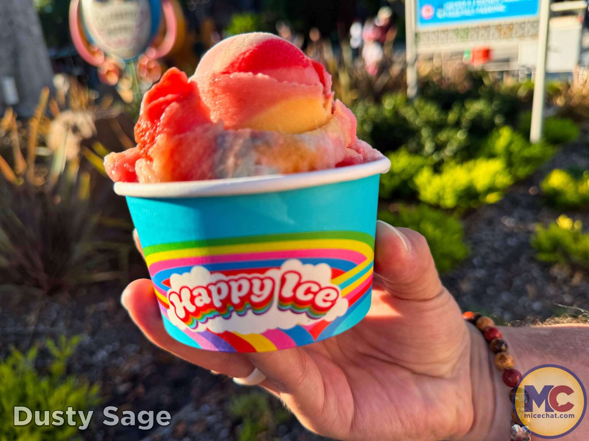 Disneyland, DISNEYLAND UPDATE: Hot Days, Cool Crowds & Summer Shakeups