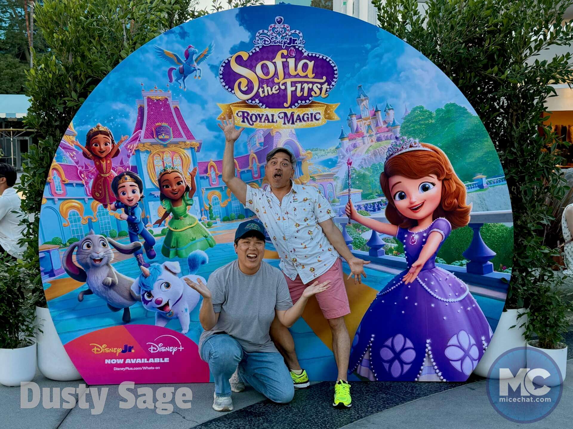 Disneyland, DISNEYLAND UPDATE: Hot Days, Cool Crowds & Summer Shakeups