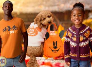 , Disney and Theme park news, tips, planning and more!!