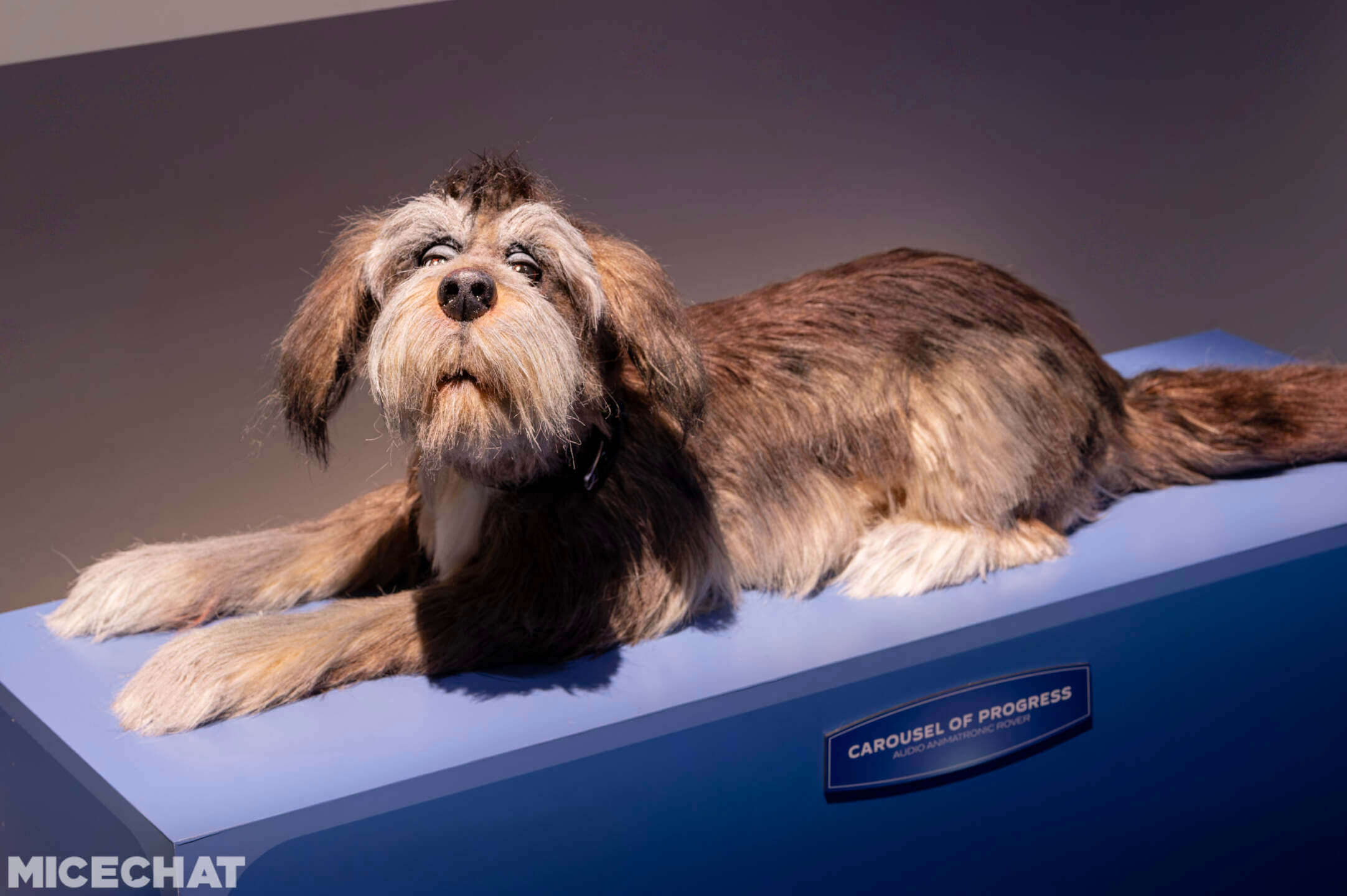 , D23 2026: Small But Mighty News From Walt Disney World