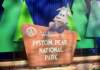 , Disney and Theme park news, tips, planning and more!!