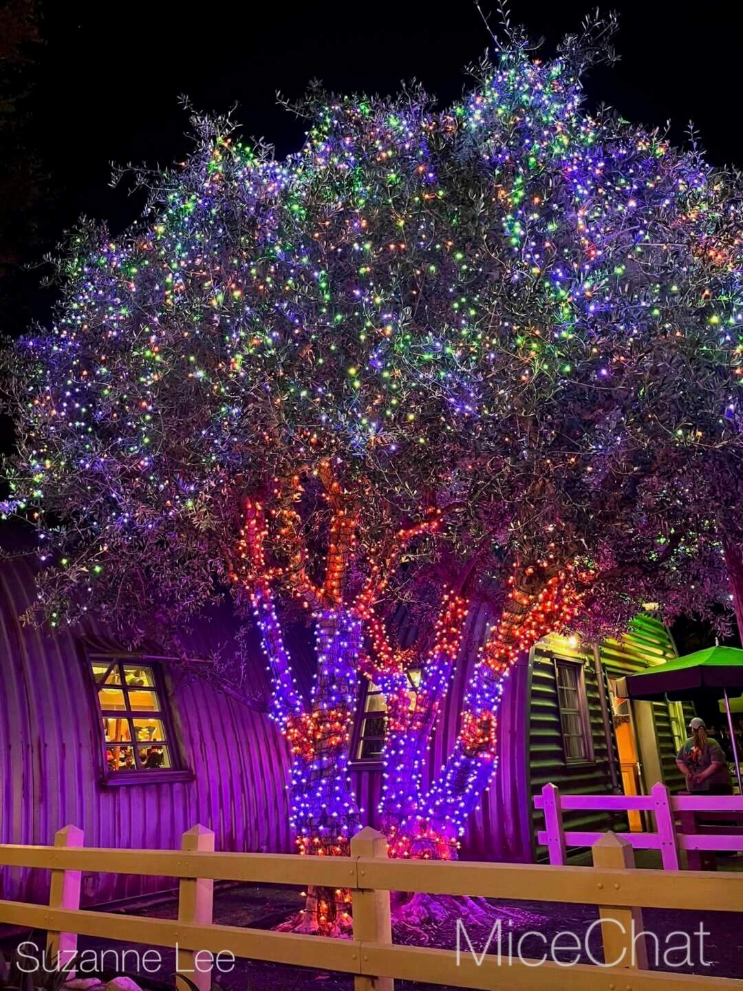 Halloween wreath and window display at Disney California Adventure