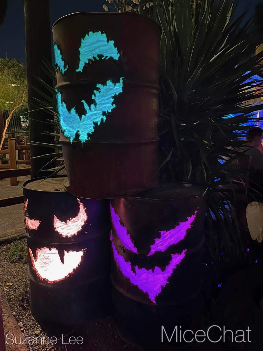 Halloween Time decorations on Buena Vista Street at California Adventure