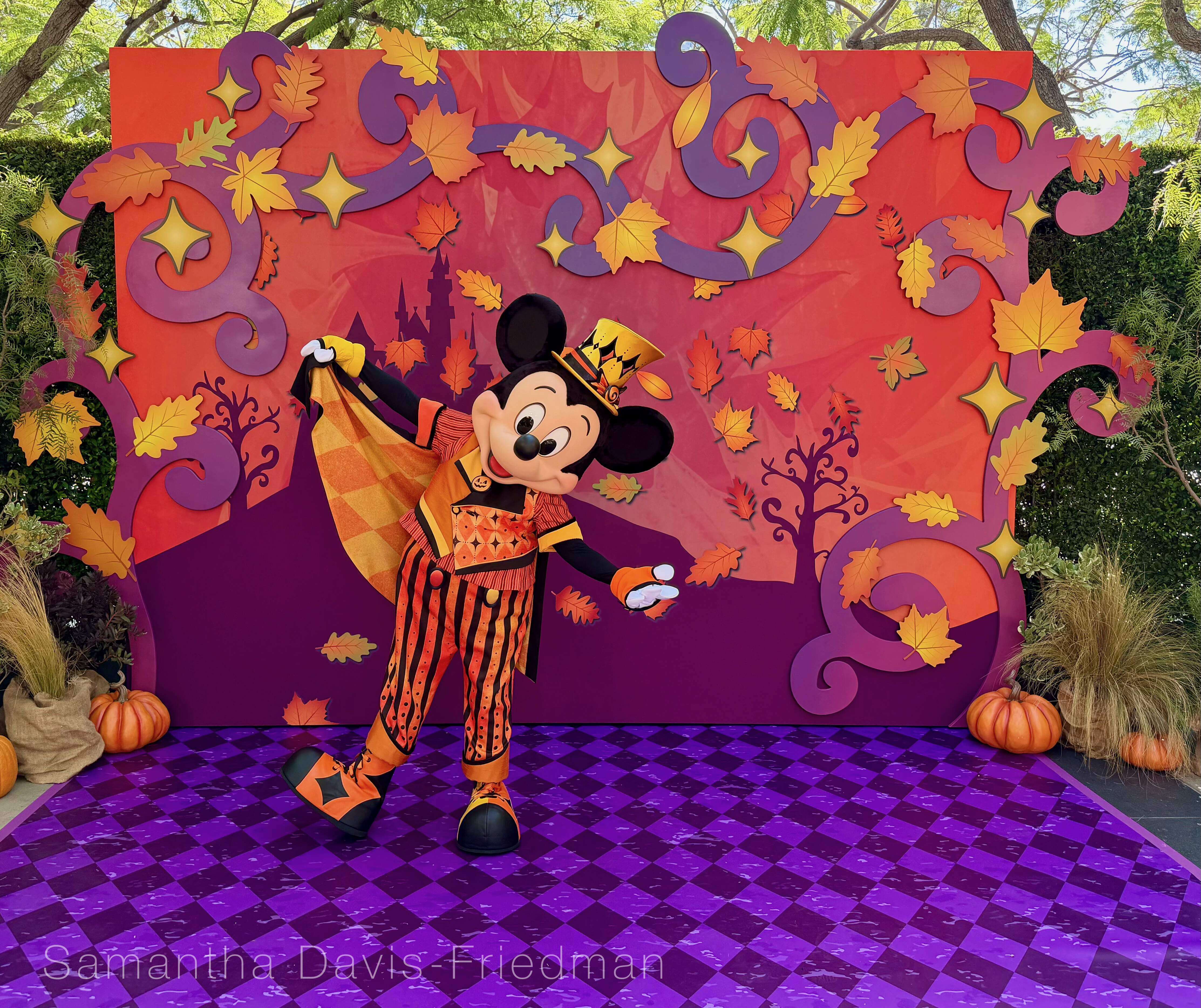 Mickey Mouse in his harlequin-inspired 2026 Halloween Time costume in Town Square at Disneyland