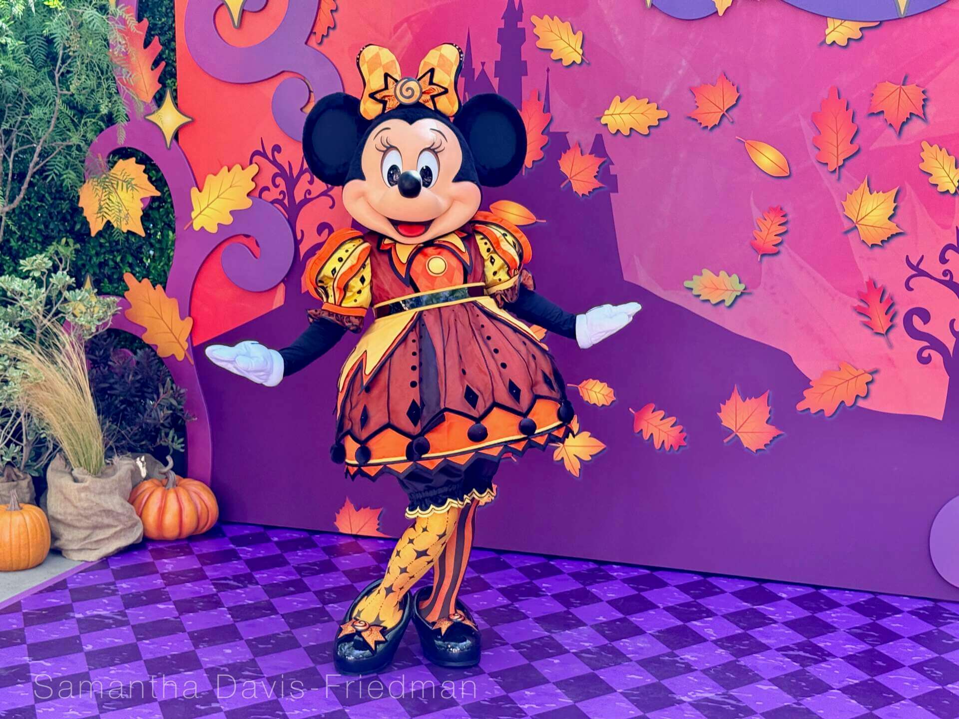 Minnie Mouse in her 2026 harlequin Halloween costume at Disneyland