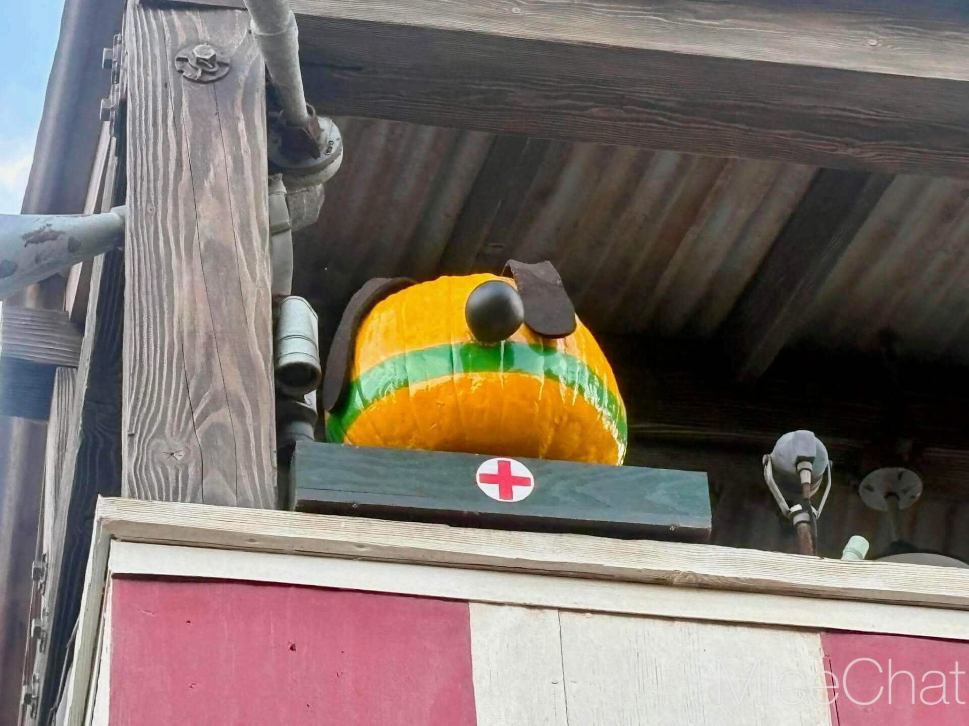 Another hidden character pumpkin from Pluto's Pumpkin Pursuit at the Disneyland Resort