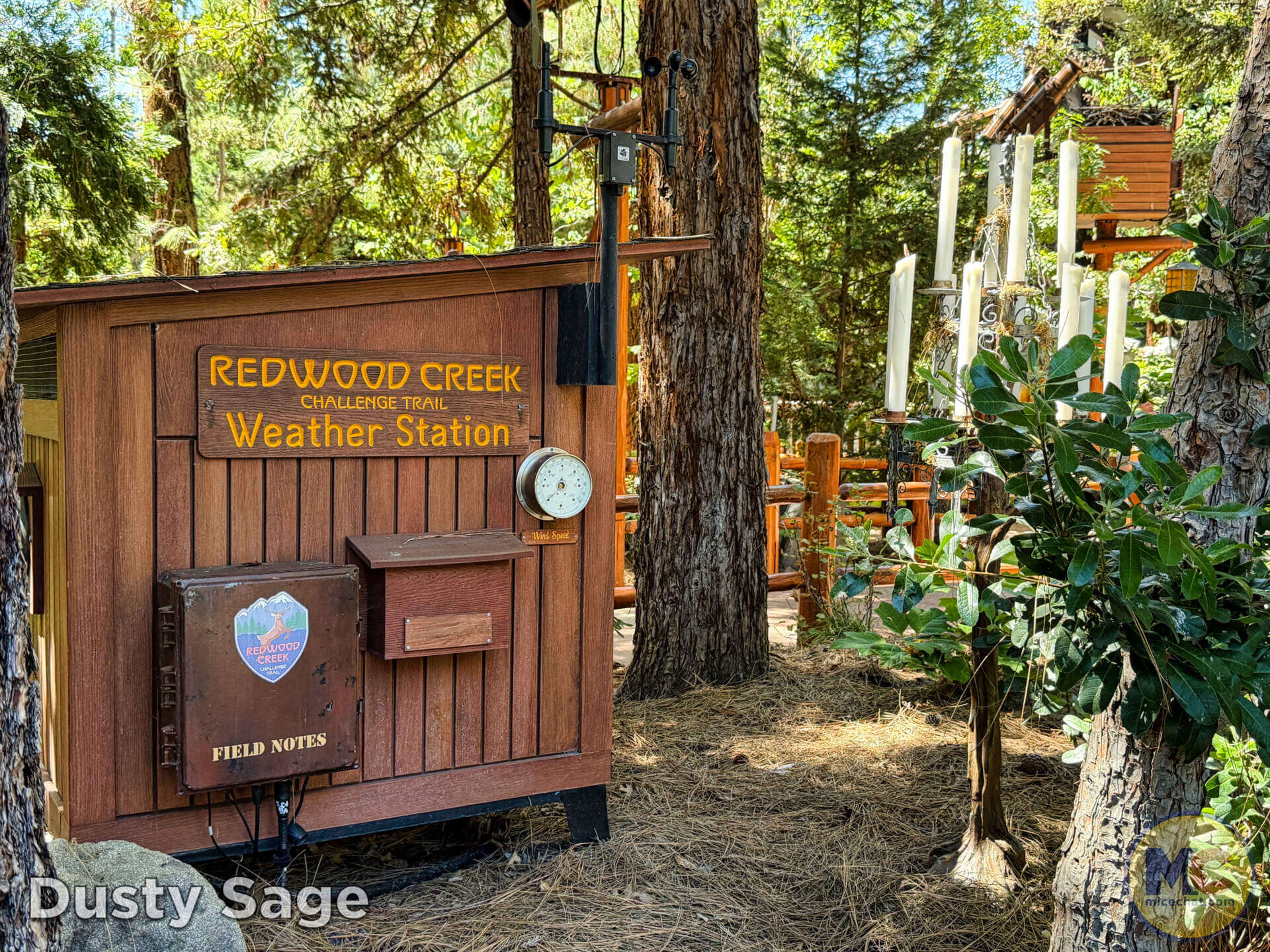 Disneyland, DISNEYLAND UPDATE – Tomorrowland Troubles, The Vanishing Act, & A Parkwide Potty Panic