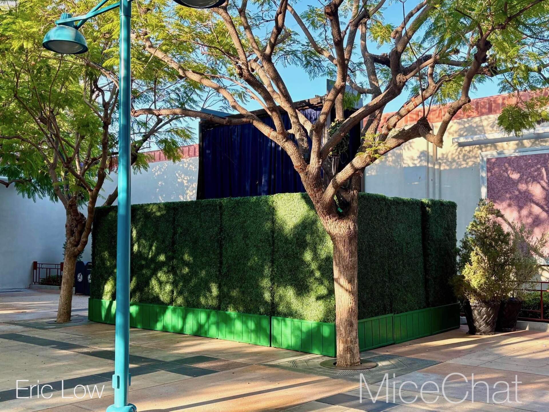 , DISNEYLAND UPDATE: Bats Over Buena Vista St., Farewell to 70 & D23 Descends!