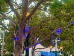 Disneyland-Oogie-Boogie-Bash-lights-1