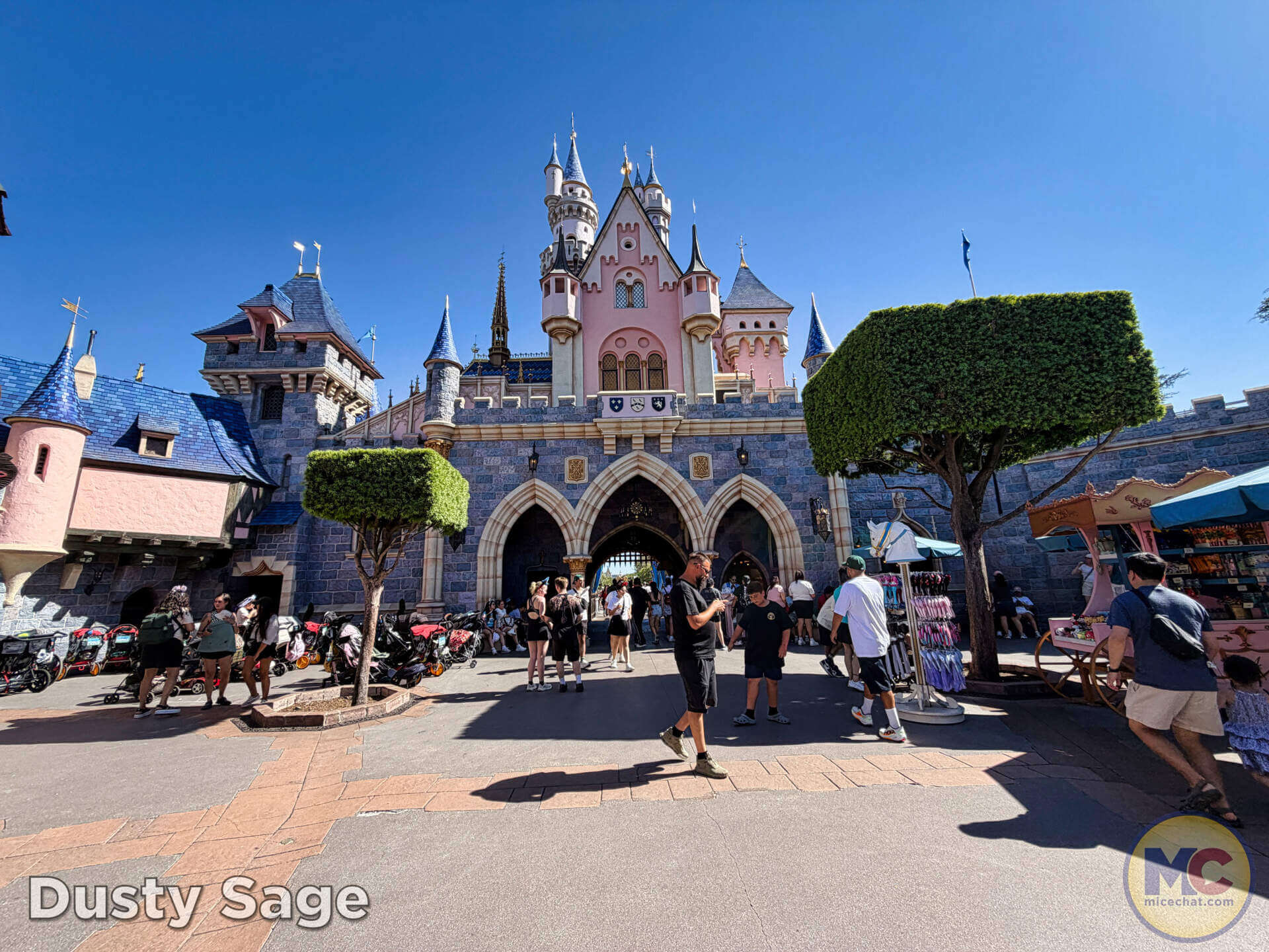 Back of Sleeping Beauty Castle
