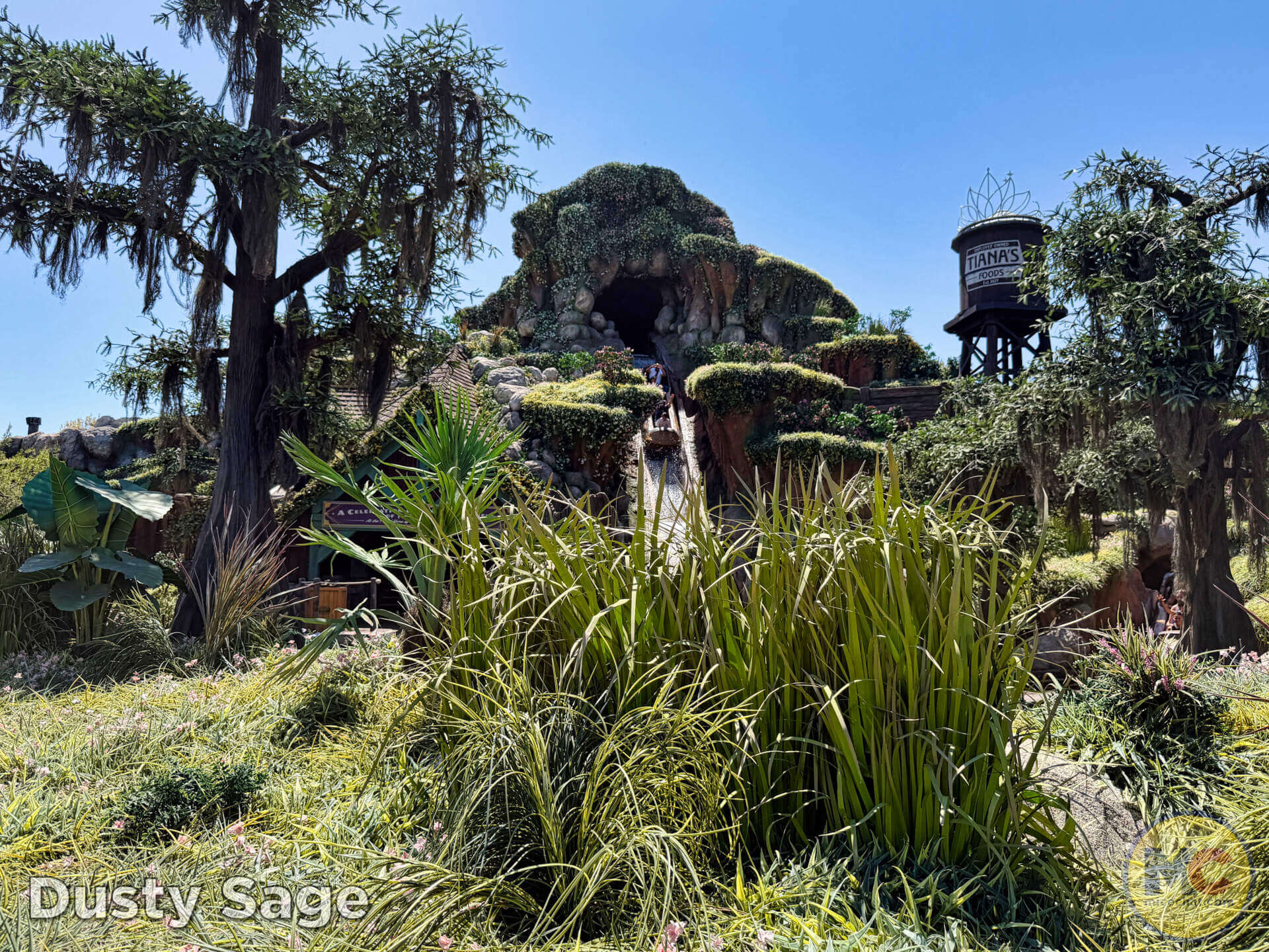 Tiana's Bayou Adventure attraction at Disneyland