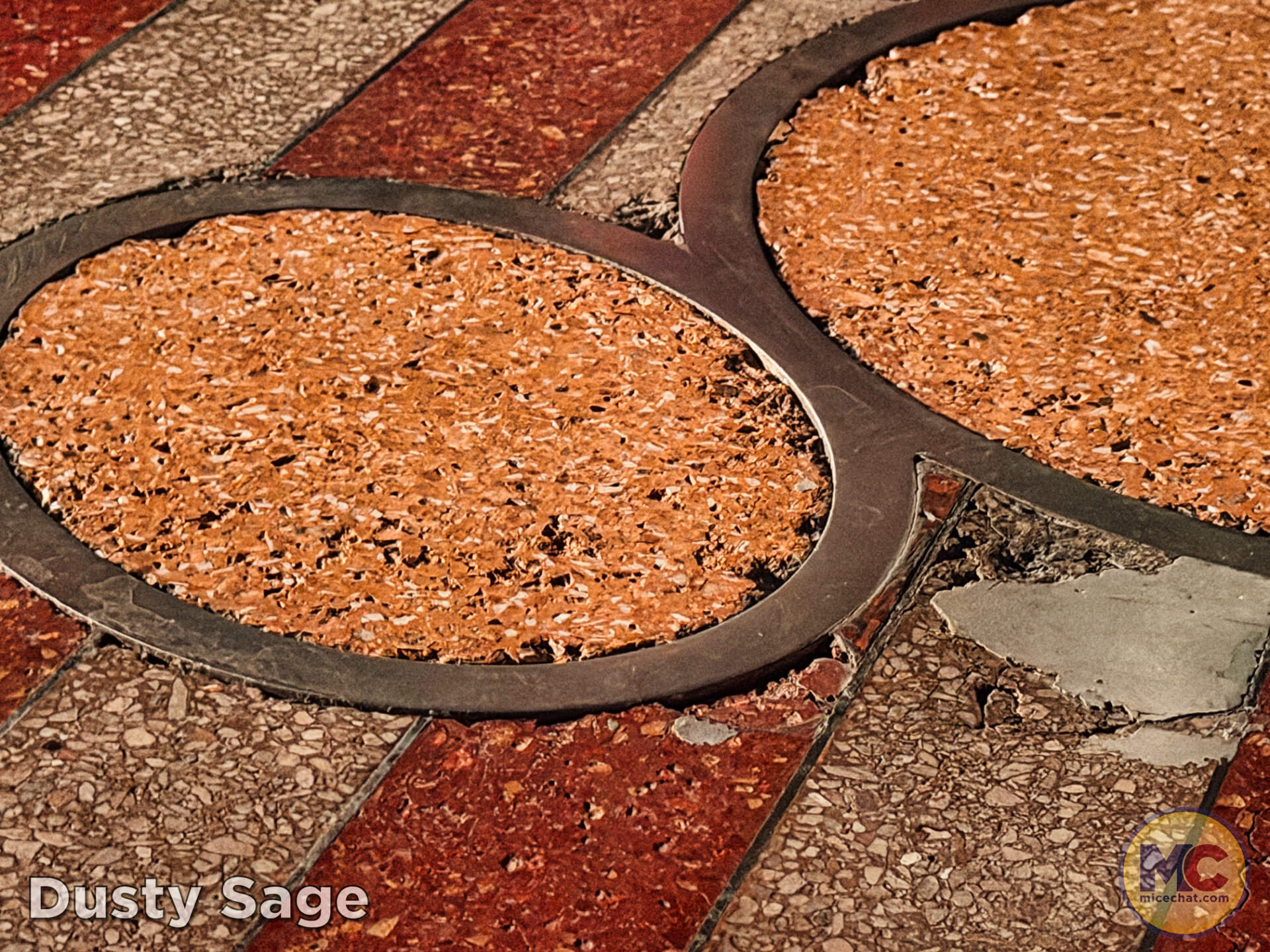 Damaged terrazzo in the Disneyland Esplanade