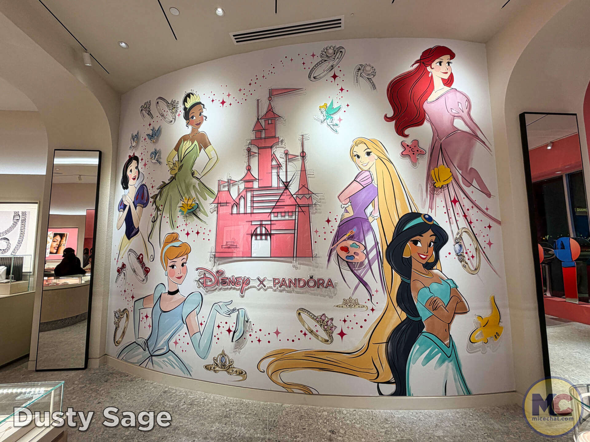 Character wall inside the Downtown Disney Pandora store