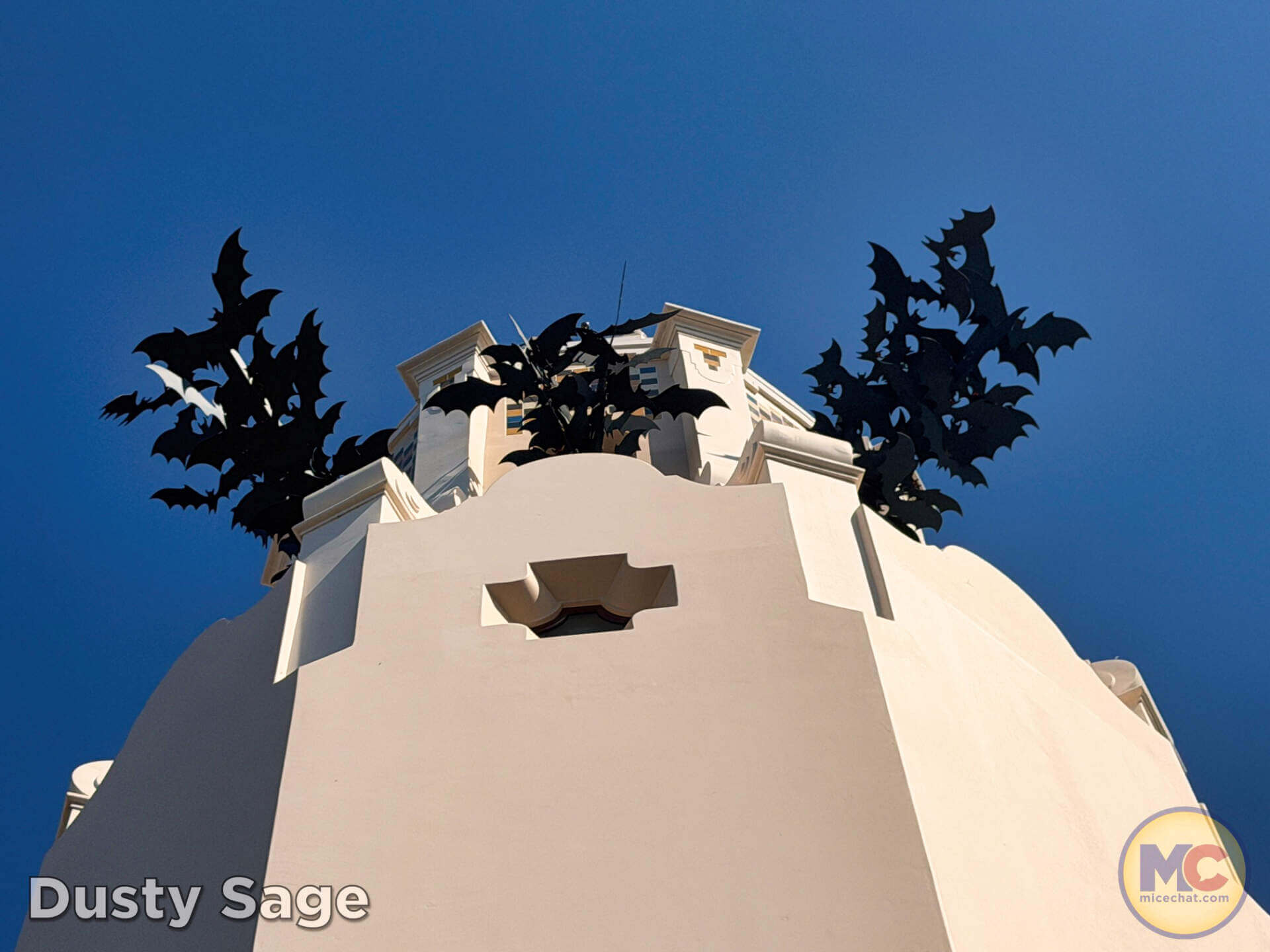 Halloween bats at Carthay Circle