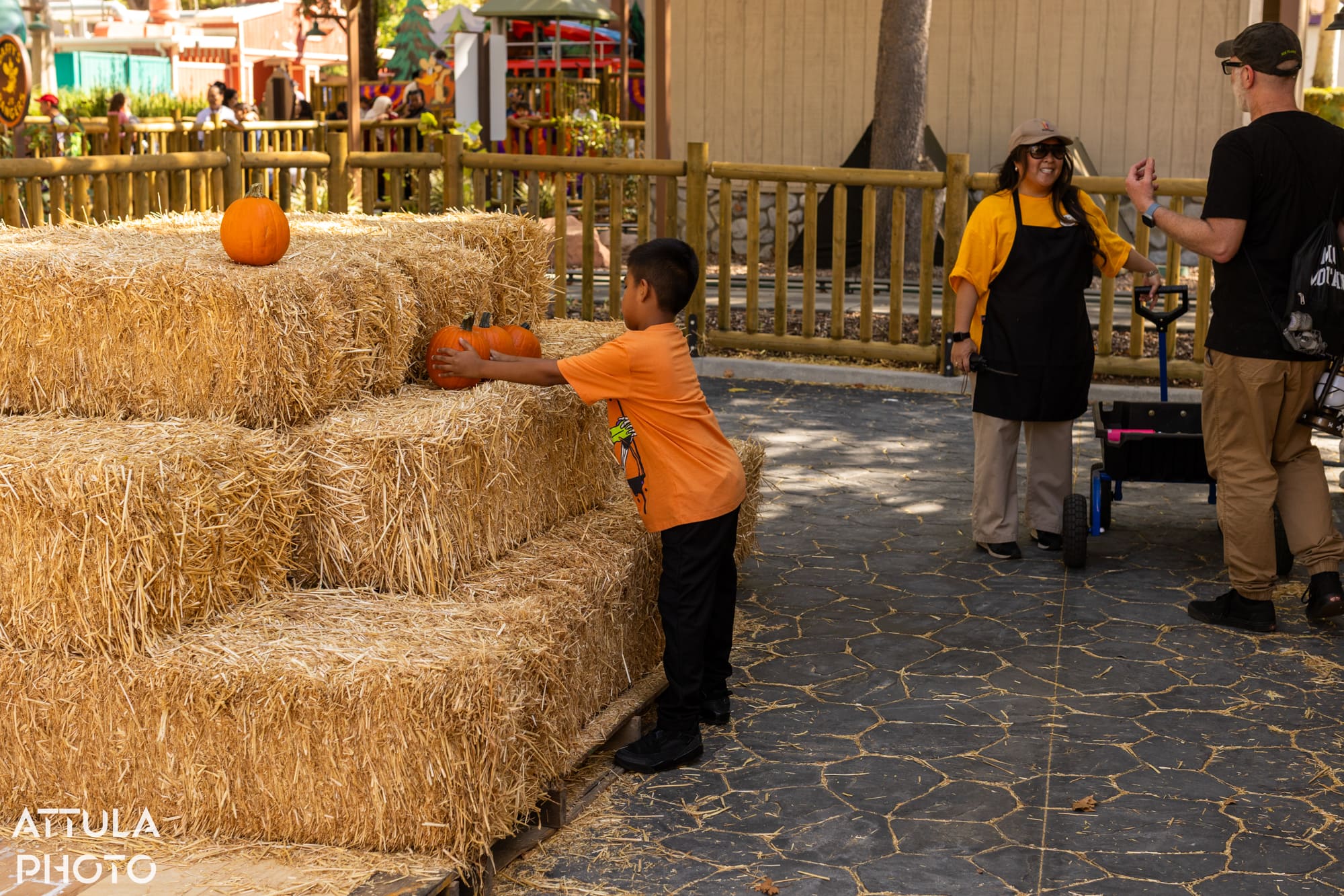 Patch's Pumpkin Patch at Six Flags Magic Mountain Tricks and Treats 2026