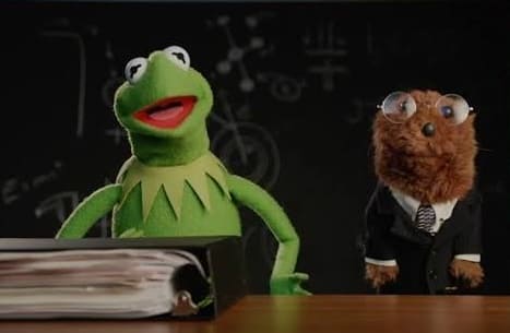 Kermit the Frog and the Legal Weasel from the Muppets