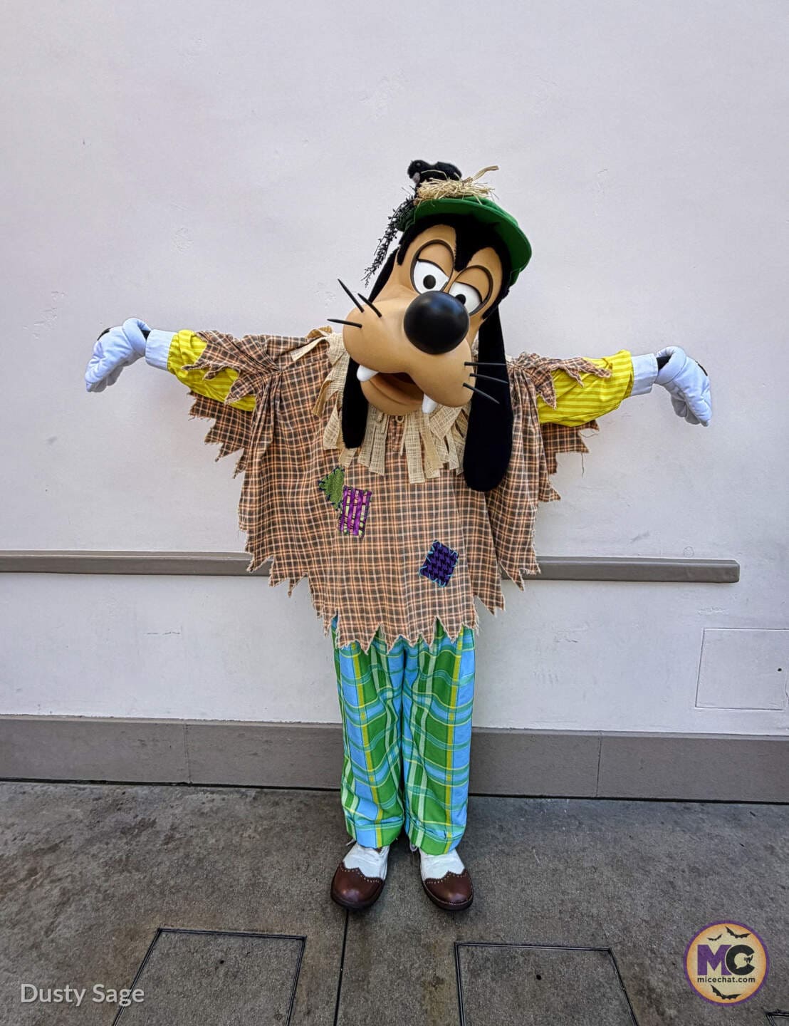 Goofy in his scarecrow costume for Halloween Time at Disney California Adventure