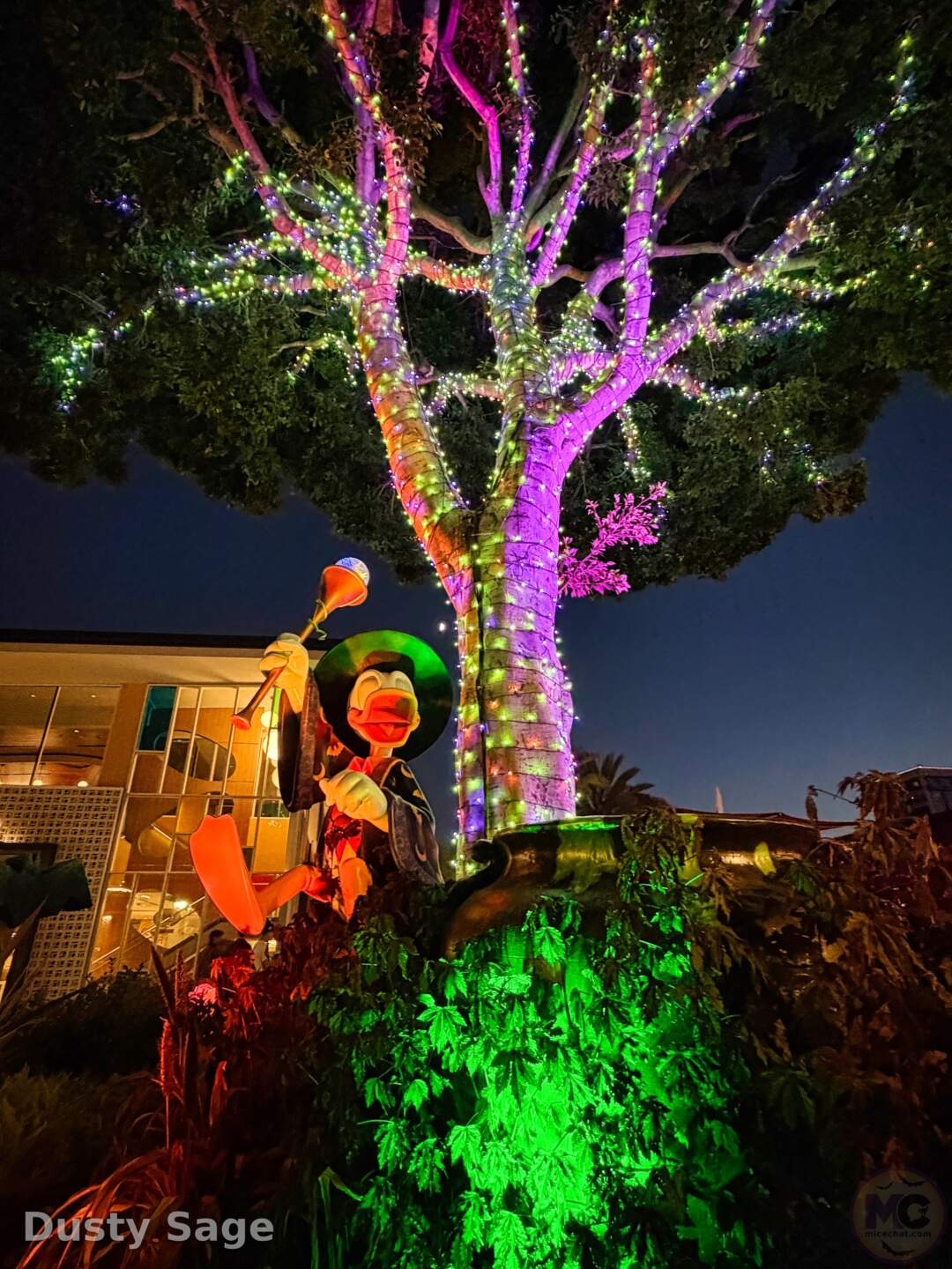 Donald Duck Halloween display in Downtown Disney at the Disneyland Resort