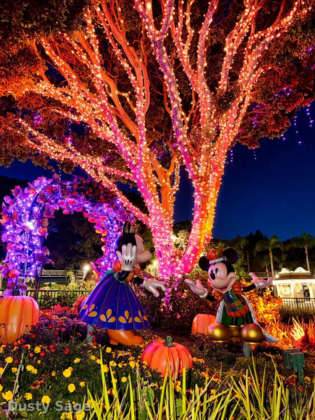 Mickey and Minnie Halloween display in Downtown Disney at the Disneyland Resort