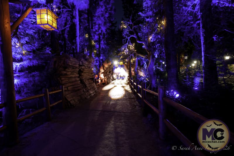 Villains Grove at Oogie Boogie Bash, photo by Sarah Anne