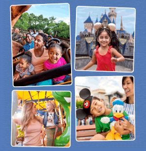 , DISNEYLAND UPDATE: CEO Shock, Napa Rose Reborn & DCA’s 25th Birthday Bash!